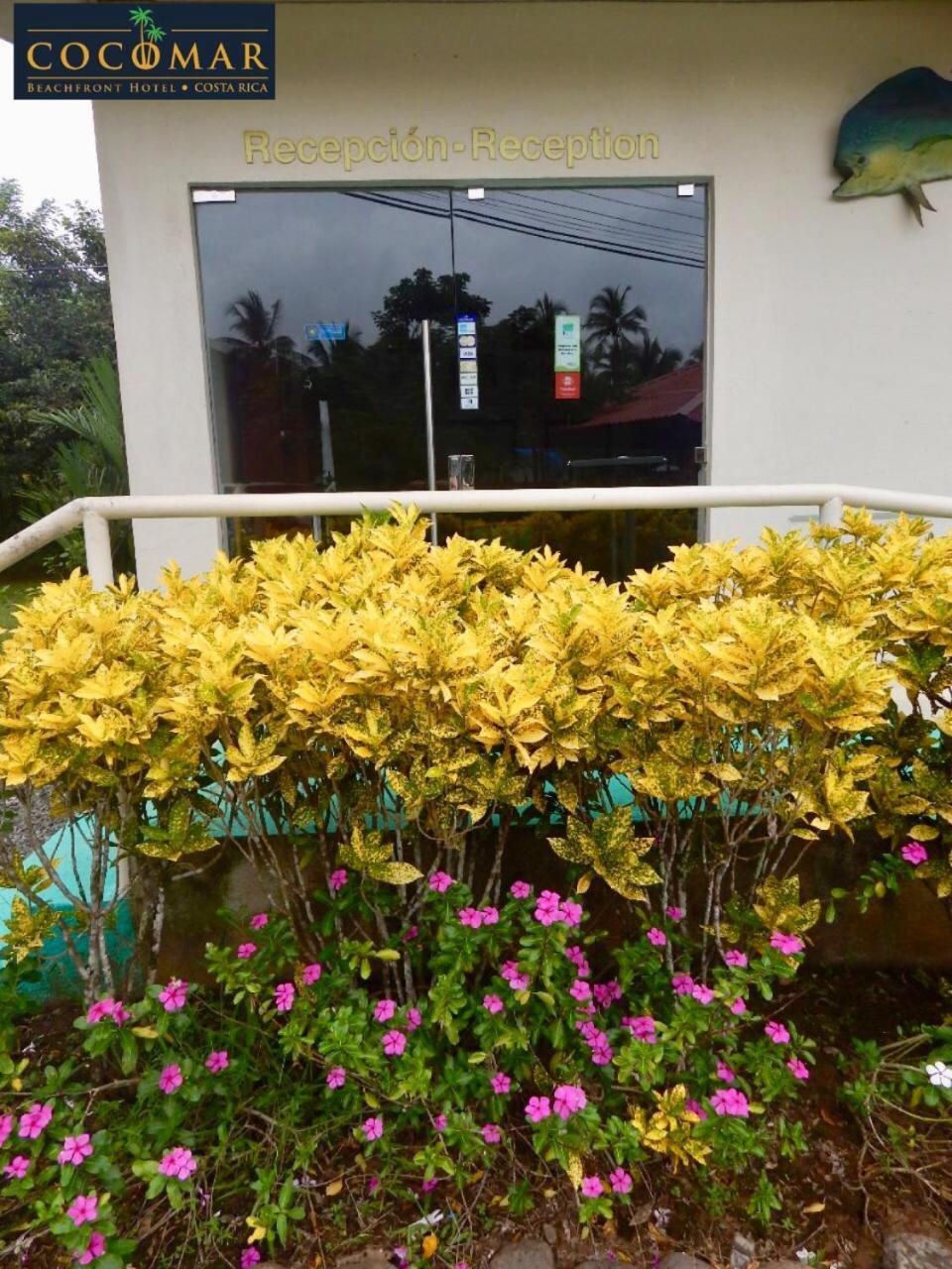 Cocomar Beachfront Hotel Parrita Exterior foto