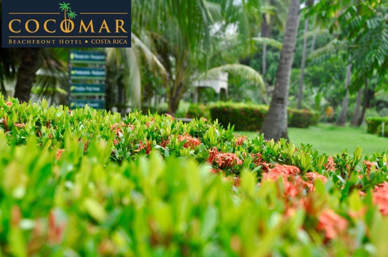 Cocomar Beachfront Hotel Parrita Exterior foto